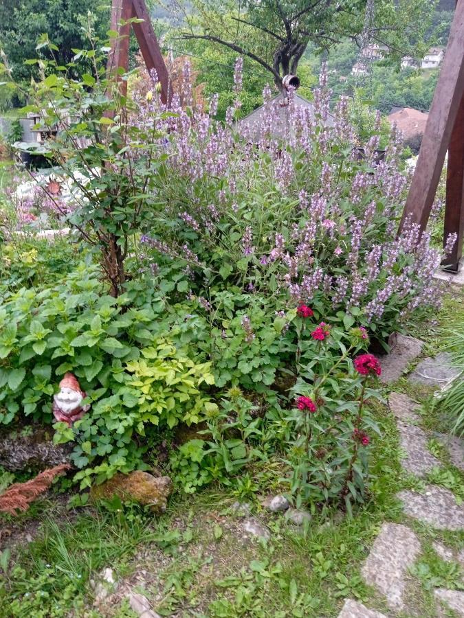 Privatni Smjestaj Kurtalija Hotel Jajce Buitenkant foto