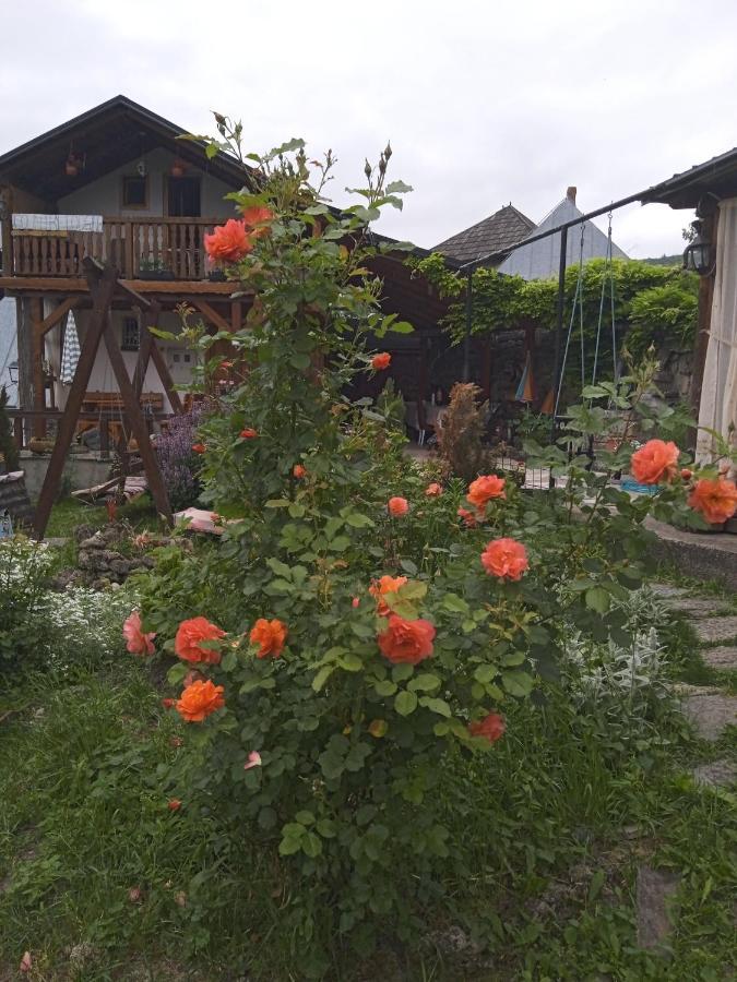 Privatni Smjestaj Kurtalija Hotel Jajce Buitenkant foto